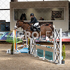 (11) Springprüfung Kl. M* 120cm