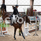 (10) Stilspringprüfung Kl. L 110cm