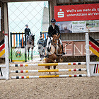 (1) Einsteiger Stilspring-WB 60cm