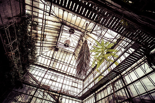 02_GLASHAUS_001