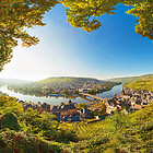 Schützenhaus / Bernkastel