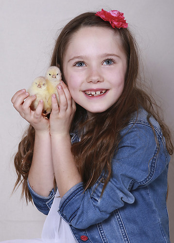 bild  0077