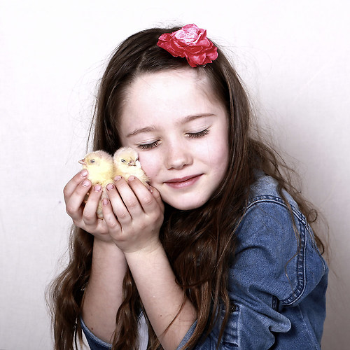 bild  0081