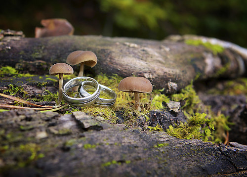 hochzeit  0134