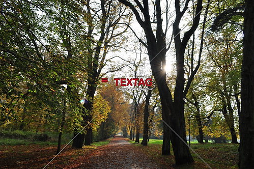 Allee - Schlosspark Putbus