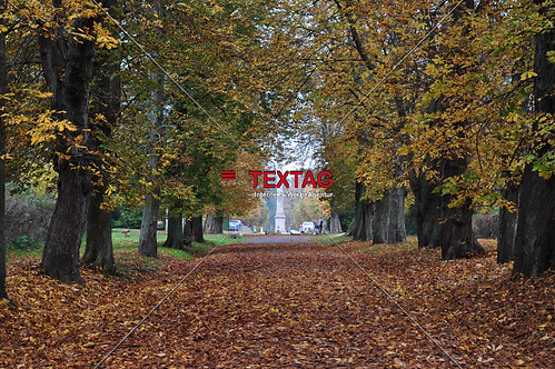 Schlosspark Allee