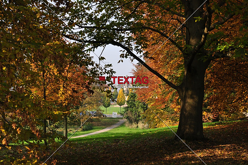 Schlosspark Putbus
