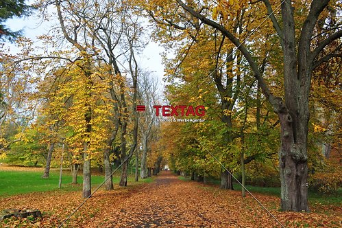 Allee