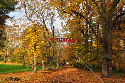 Allee im Herbst