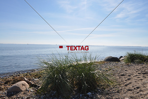 Stilleben, Strand