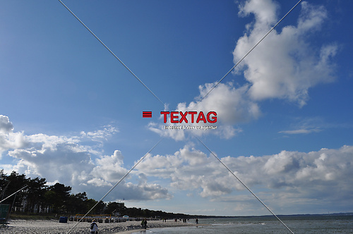 Binz
