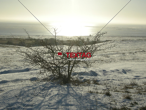 DSCN9376