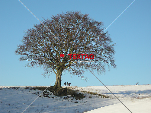 DSCN9413