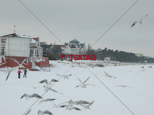 DSCN0577