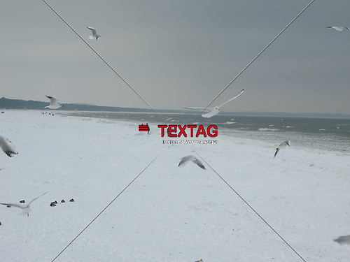 DSCN0581