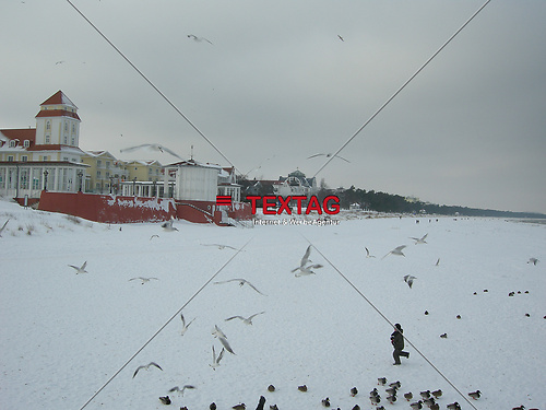 DSCN0587