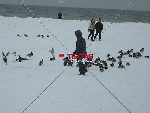 DSCN0591