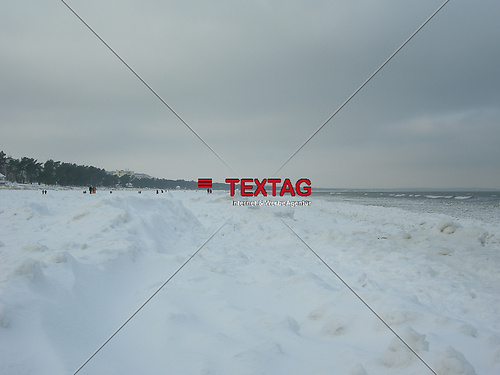 DSCN0619