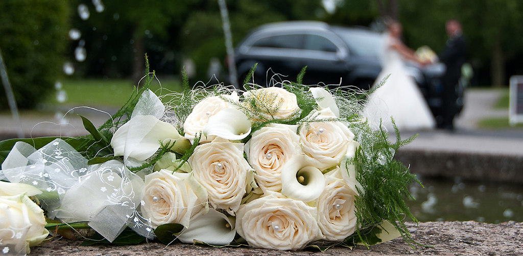 20130614_HZ_Korac_067