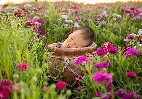 Fresh48andNewbornPhotography(4)
