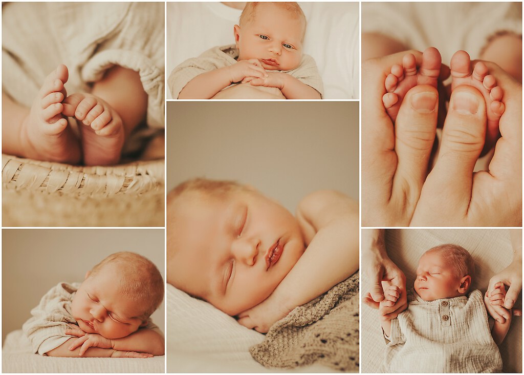 CollageBerry_web-1