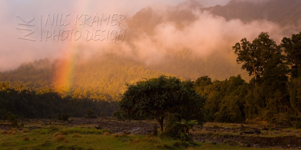  | Regenbogen in der Abenddämmerung, Copland Track, West Coast, Südinsel, Neuseeland | Regenbogen Abenddämmerung Copland Track Westküste West Coast S