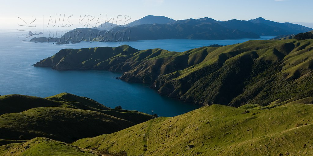  | Grüne Hügellandschaft in den Marlborough Sounds, Okuri Bay, Marlborough, Südinsel, Neuseeland | Grüne Hügellandschaft Marlborough Sounds Okuri Bay Südinsel N, Querformat