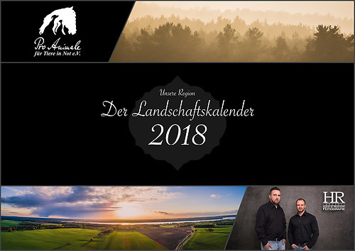 collage NEU Fertig