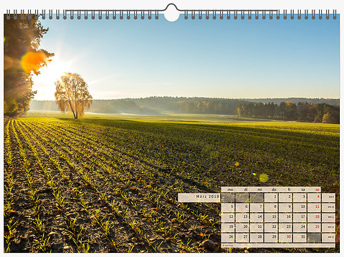 Bildschirmfoto 2017-10-18 um 17.28.15