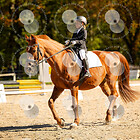 Reitertreffen und Vereinsmeisterschaft Bad Ischl