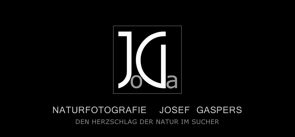 Naturfotografie  Josef Gaspers