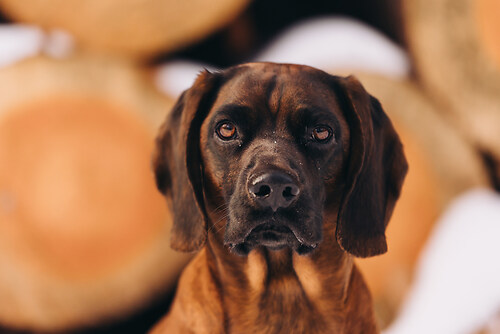 geblitztdings.de-3-9