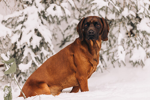 geblitztdings.de-3-3