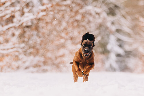 geblitztdings.de-3-6