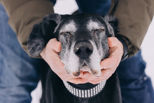 geblitztdings.de_WINTER_2026-7487