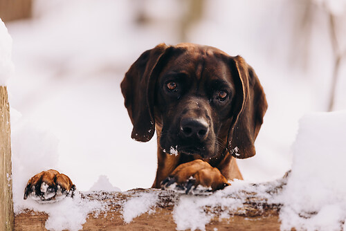 geblitztdings.de-3-10