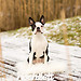 geblitztdings.de-7038 -