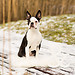 geblitztdings.de-7048 -