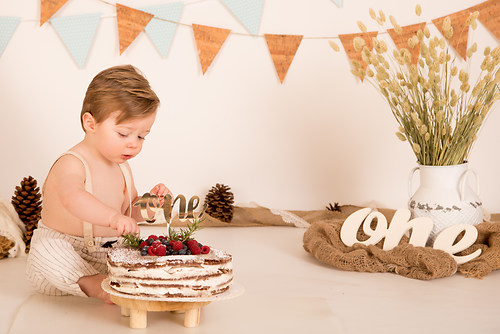 geblitztdings.de_cakesmash-9102