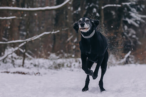 geblitztdings.de_WINTER_2026--45