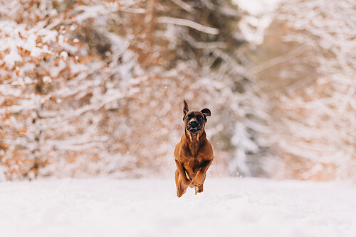 geblitztdings.de-3-7