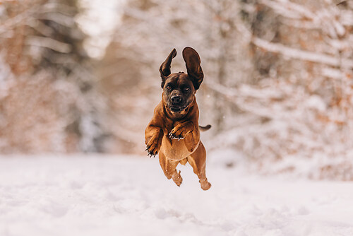 geblitztdings.de-3-8