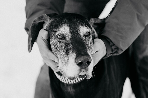 geblitztdings.de_WINTER_2026--39