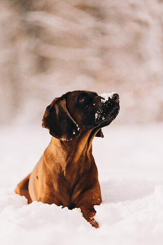 geblitztdings.de-3-5