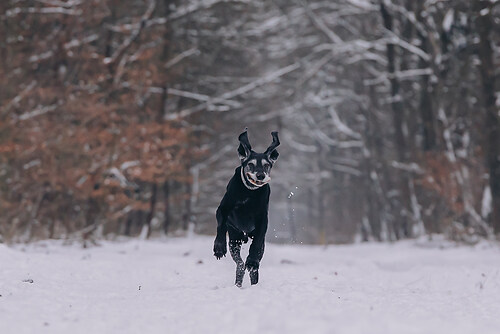 geblitztdings.de_WINTER_2026--43