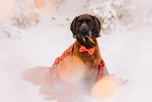 geblitztdings.de-3-4