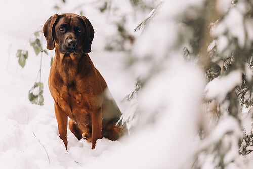 geblitztdings.de-3-2