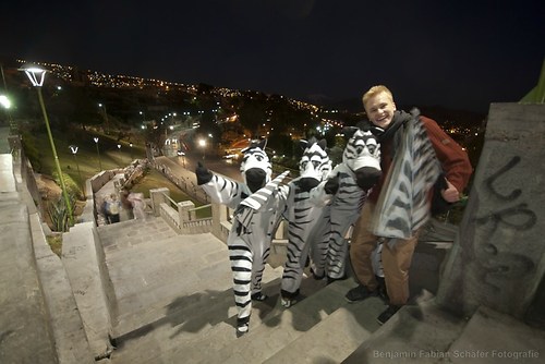 Wer braucht schon Zebrastreifen? Hier in La Paz regeln echte Zebras den Verkehr!
