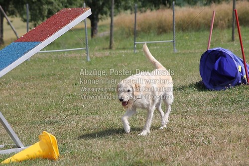 IMG_1864