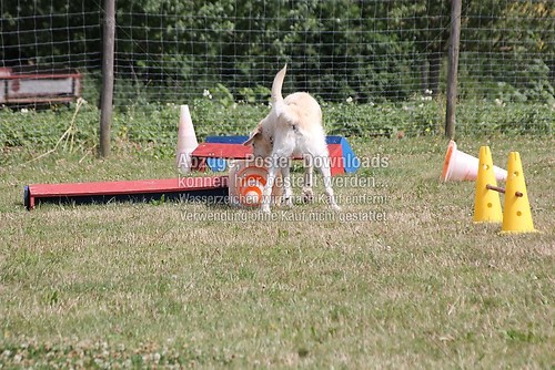 IMG_1870